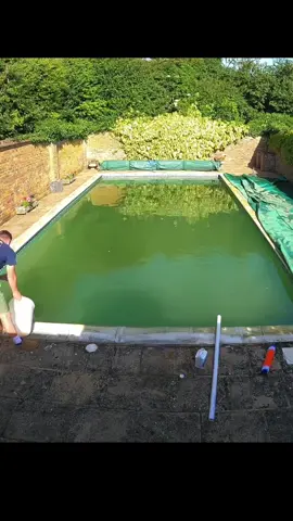 Full time lapse!! From green-clean #thep00lguy #hollayaboy #satisfying #oddlysatisfying #fyp #transformation