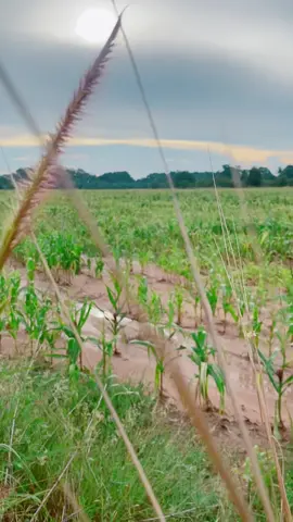 ขอบคุณธรรมชาติ #fypシ #tiktokindia #ธรรมชาติบําบัด