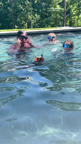 Carlos  #frenchie #frenchbulldog #french #frenchiesoftiktok #pitviper #pool #Summer #swim #fun #bulldog #letsgo #carlos #swimming #swimmingpool #swimmer #frenchiesoftiktok