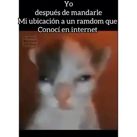 contexto: un Colombiano 🤑🤙#fyp #foryoupage #f #xd #xdddddd #gatogriton #aña #aaamedoxean #amedoxeanaa #🤑🤙#💀🤙