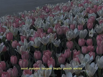 #bts ; 🤍 #youreyestell #fyp