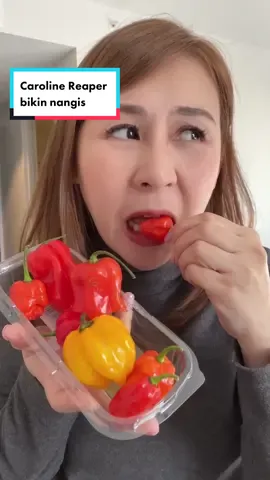 Lanjutannya yang kemarin yah …. Lunas …. #sibungbung #mukbang #serunyaliburan #carolinareaper