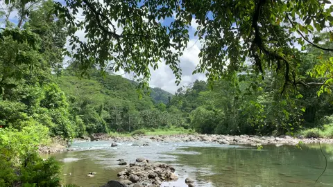Happy place .✨🏞🍀🌿 #naturetrip #peace #healingplace #calm #fyp