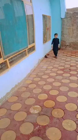 #Naveed #ayesha #abuzar