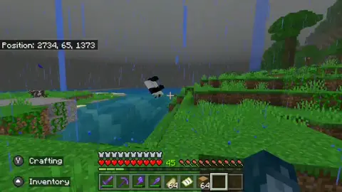 Never seen a panda roll in this game #Minecraft