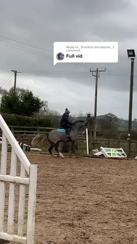 Reply to @_brooklyn.the.equine_ I’ve posted this before but its been a while so heres a refresher! We were both 100% fine<3 #horse #horsetok #horseriding #horsefail #ridingfail #horsefailsandfalls #eq #equestrian #horselife