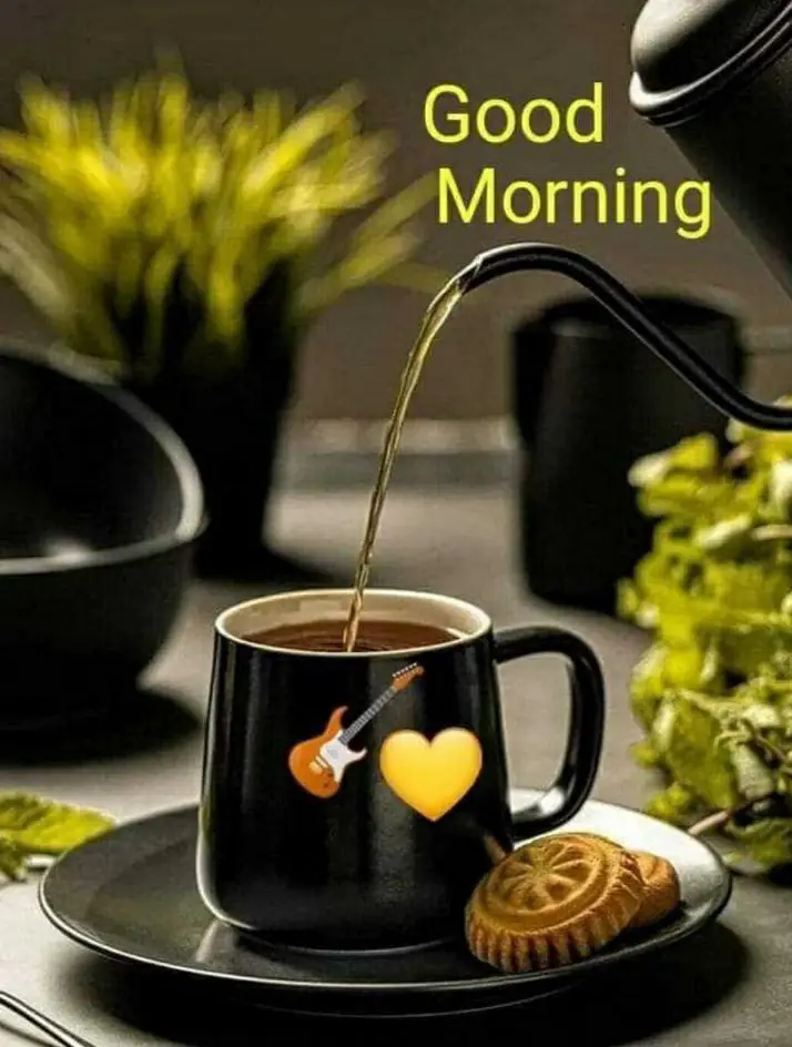 #fypシ゚viral #goodmorning #காலைவணக்கம்நட்புகளே #fyppppppppppppppppppppppp #காலை_வணக்கம்🙏🙏 #வணக்கம்🌹💕