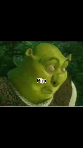Kakaland#kakaland#shrek#funny#meme#foryou#fyp