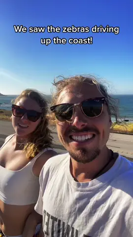 Have to love a good road trip! #california #travel #roadtrip #zebra #101 #vanlife #explore #Outdoors #adventure @haha_ell
