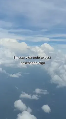 Todo es parte de tu proceso de crecimiento, aprende a mirar todo como una oportunidad que te presenta la vida para mejor algún aspecto de tu vida✨💙🍃#despertardelaconciencia #sanar #viral