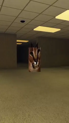 ⭐Game: Escape The Big Floppa Backrooms #funny #meme #xyzbca #unfairbird #fypシ #roblox #floppa #backrooms #backroomsentities #bigfloppa