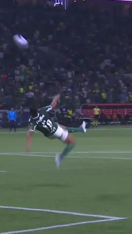 Pintou notificação DE BIKE no seu telefone? QUE OBRA PRIMA, RONIELSON! 💪 #palmeiras #verdão #futebol #goal