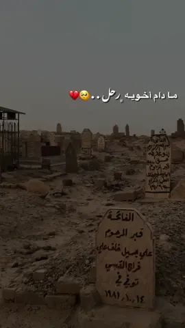 مادام اخويه رحل 🥺💔 #المصمم_بشير_العساف #ستوريات #حالات #صعدوا_اكسبلور #تصاميم #حالات_واتساب #ستوريات_انستا#بشير_العساف #لايك #متابعه #صعدوا_الفيديو #تصميم_فيديوهات #virall #explor #foryou #fyp #تيم_المصممين#مادام_اخويه_رحل #اكسبلور #مقبره_المزرعه #مقبرة #مقبرة_وادي_السلام #مقبرة_وادي_السلام_النجف #مقبرة_النجف #مقبرة_بيجي #تل_ابداح_الجيسات #قناتي_تليجرام_بالبايو💕🦋 #المصممين #مصممين #عباره_للفيديو🙂💔