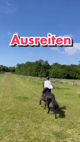 Einfach Wendy-Feelings 🐎🥹 Wer von euch war schonmal Ausreiten? 🌾#goodpart #wendy #viktoriasarina