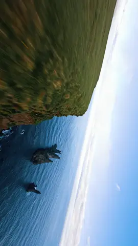 Where the mountains meet the sea #fpvdrone #dronepilot #travelfilmmaker