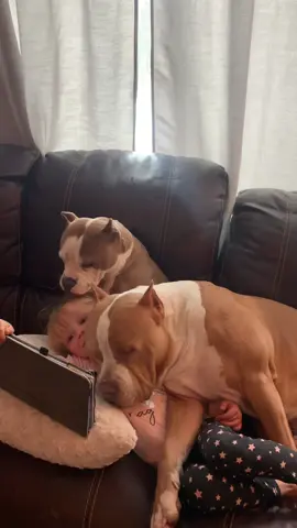 I know everyone loves the doggy piles of cuddle. #dogcuddles #bigdogproblems #bigdogsoftiktok #americanbullies#dogsandkids #cutenessoverload #bullybreedsoftictok