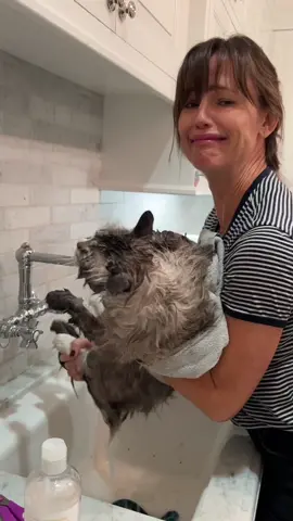 Even big boys have accidents sometimes. It’s okay, Moose— you’re still the most handsome. 😻