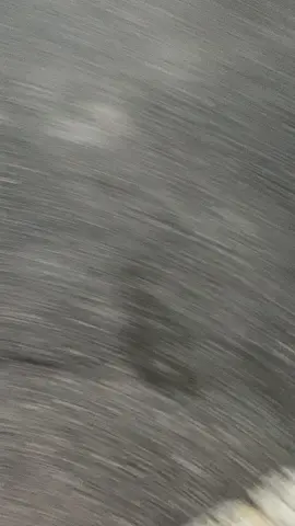 #fypシ old man understood the assignment 😭