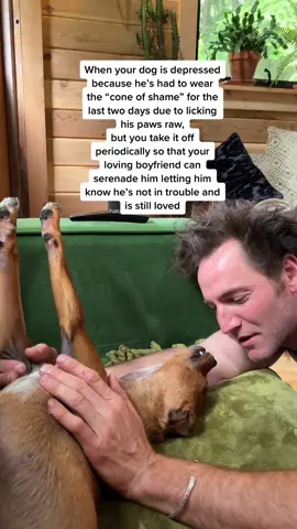 Best dog dad ever 😍 #dogsoftiktok #dogdad #dog #adoptdontshop