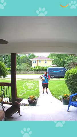 He wasn't sure about her at first... but then 🥰🐶 #dogsoftiktok #dogs #doggo #amazondelivery #amazondeliverydriver