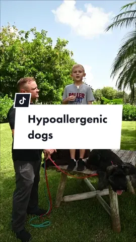 Did you watch our series on kids and dogs? Did it help? Leave in the comments. #allergies   #allergictodogs #kidsoftiktok #professionaldogtrainer #southfloridadogtraining #dogtrainerlife #dogtraineroftiktok