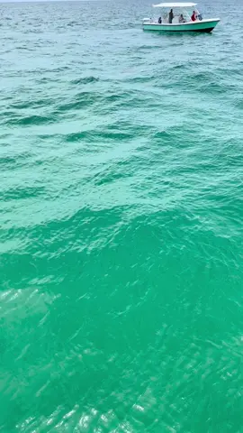 #vacationmode #beach #dolphins #simplelife #blessed #PlutoTVIsFree