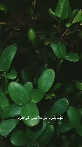 #CAMONMyWay ##fypシ #اكسبلورر