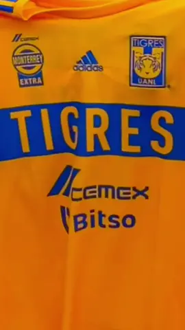 Muy incondicionales, pero qué tanto saben de su equipo 🧐🐯 #SiempreContigo #AnalistasAdidas
