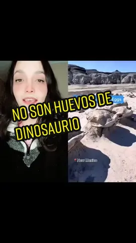 #dúo con @vikingonthemove Además no tienen las estructuras que se ven en los huevos. #dinosauregg #desmintiendo #reaccion #datos #biologia #AprendeEnTikTok #dinosaurio #trex