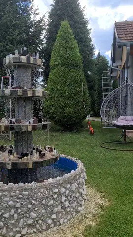 #kosovë🇽🇰👐 #vendiimpreferuar❤️🧿 #esthetic #satisfying #gardendesign #gardenproject #maestro #03 #istog #shqipe #nature #albanische #vendlindjaime #shtëpi #shqipet #vendiim