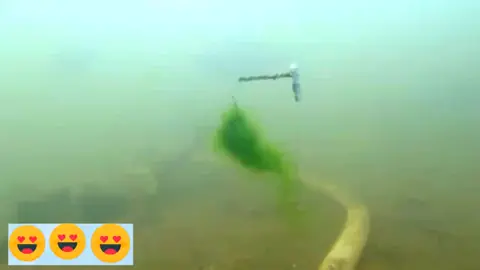 cara ikan nila makan umpan lumut....#fypシ #fypシ #tukangmancing #spotmancing #radea #nguseupp