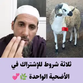 3 شروط للإشتراك في الأضحية الواحدة 🌿💞#قصص_الانبياء #اسلاميات #مصطفى_الهلالي #سعيد_الكملي #ياسين_العمري #بدر_المشاري #محمد_العريفي #ذكر #دعاء #سعد_العتيق #قرآن #اكسبلور #خالد_الراشد #نبيل_العوضي  #عثمان_الخميس #صالح_المغامسي #رمضان  #عائض_القرني #عمر_ال_عوضه #موعظة  #عمر_عبدالكافي