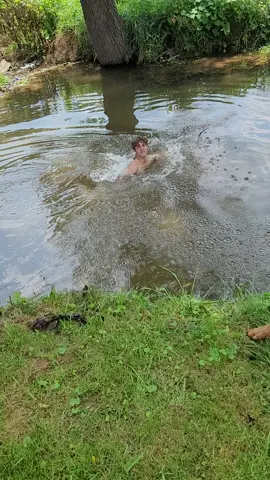 LOYAL German shepherd jumps in to save drowning owner #dog #dogs #puppy #dogstagram #doglover#gsdlove #gsdpuppy #puppy #germanshepherddog #germanshepherdpuppy #gsdstagram