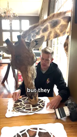 Coolest hotel in the world!! 🦒 #trend  #viral #giraffemanor #africa #kenya #giraffe