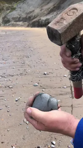 Jurassic ammonite fossil! Ancient sea creature #fossil #rock #fyp #beach
