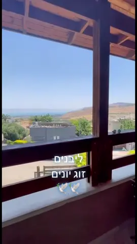 ליבנים זוג יונים🚩#🇮🇱❤️ #ליבנים