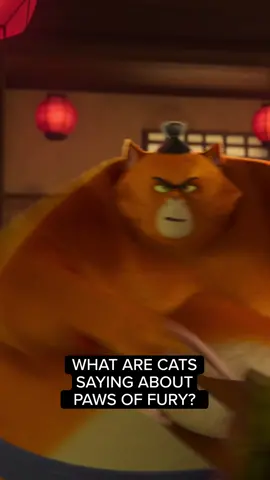 #PawsofFury is the cat’s meow. #Caturday #CatTok