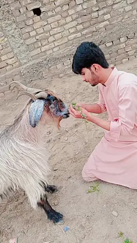 hahahah akhir ma Bag gya😆😆#growupwithme #please #tiktok #viral #foryou #foryoupage @duabaloch77512
