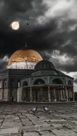 دمت يا أقصى لنا #الاقصى #المسجد_الاقصى #القدس #القدس_لنا🇵🇸🕌 #فلسطين #فلسطين🇵🇸  #اناشيد #عائض_القرني #اللهم_صل_وسلم_على_نبينا_محمد #قرآن #منصور_السالمي #الوتر #اذكار_المساء #اسلام_صبحي #الحزن #ماهر_المعيقلي  #صالح_المغامسي #استغفر_الله #سبحان_الله #alhamdulileh #الله_اكبر #لا_اله_الا_الله  #اسلاميات #صورة #دعاء #islam #سوريا #سوريين #الكويت #السعودية #الامارات #دبي #يوم_الجمعة #قطر #الصلاة_على_النبي #بدر_المشاري #سعد_العتيق #هزاع_البلوشي  #مقاطع_دينية #اکسبلور #منشن #مشاركة#متابعة  #حالات_واتس