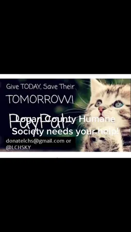Logan County Humane Society needs your help! They are under-funded, under-staffed and the kennels are full. Please consider even a $5 donation for these precious fur-babies! #humansociety #dogs #cats #needhelpplease #dogfood #catfood #catlitter #airconditioners