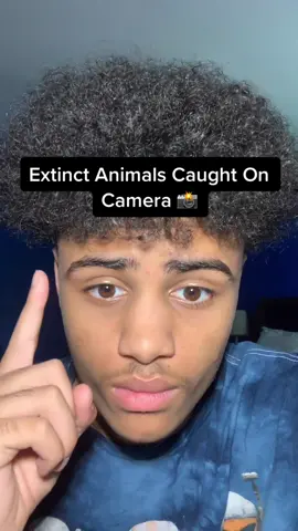 Extinct Animals Caught On Camera 📸 #fyp #xyzbca #megalodon #fypシ #viral #foryoupage