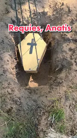 Inspirado en la gran obra maestra de @alejandro.arriagada #rip #duckling #funeral #casket #art #patito #kylesthenix