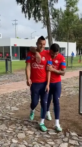 Domingo de bajón 🥺 #LigaMX #Chivas #Guadalajara #Futbol #AlexisVega #PiojoAlvarado #Antuna