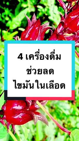 ไขมันในเลือด ยิ่งสูง ยิ่งอันตราย #กินดีมีสติกับคุณอ้อมสารินี #เป็นคนปกติไม่ใช่หมอแต่อยากดูแลตัวเอง #กินดีมีสติ #tiktokสุขภาพ #ไขมันในเลือดสูง