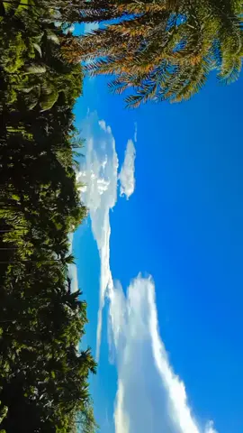 asker akash ta onek sundor@aminurislam68 @akayubkhan25 @homayon_kobir03 @princeemon505 #training #foryoupage #foryou #vairalvideo #brokenheart #miniminter #duet