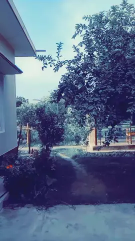 bunu sanga halka ramailo #kailaimuser❤️❤️🥰 #nepalitiktok🇳🇵🇳🇵🇳🇵🇳🇵 @prativachaudhary157