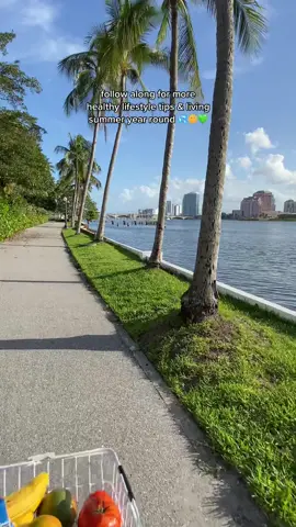 who likes these vlog-type videos? Let me know 🌞✨ #Vlog #dayinthelife #dayinthelifevlog #healthyvlog #travelvlog #travelwithme #healthytravel #healthytraveltips #vitamixblender #smoothiebowl #beachgirl #pinterestaesthetic #wanderlust #summervibes #tropicaltravel #workingremotely #onlinework #healthygirl #healthyinspo #thatgirl #tropicaltravel #floridatravel #healthandwellness #healthandfitness #gymgirl #fitgirl #healthyroutine #healthygroceryhaul #healthyrecipes #summertravel #veganliving #lifestylevlog #lifestylevlogs #palmbeach