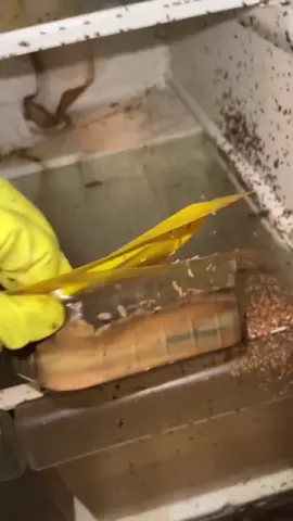 How are yall handling this situation?! 👀😳 @Hoodmeals👨🏾‍🍳 #OhNo #cleanup #viral
