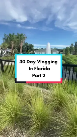 Here’s part two of my daily vlog in Florida #PrimeDayDreamDeals #fyp #dailyvlogging #florida #Vlog #videography #traveltiktok