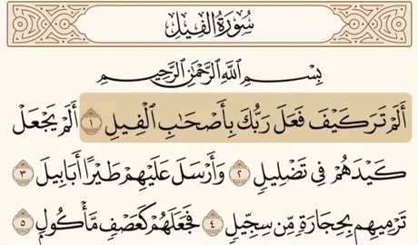 سوره الفيل كامله